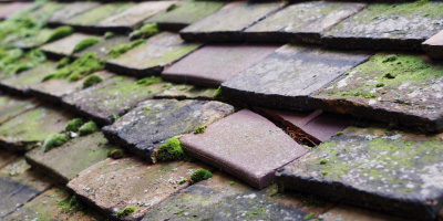 Twyning roof repair costs